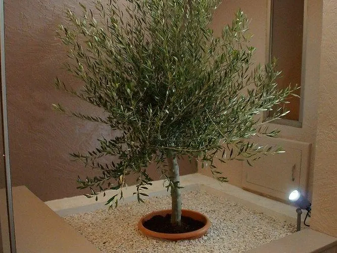 Aragon - Centre Gare 2*